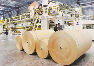 智造引领，绿动未来 探访华东地区现代化纸制品包装材料生产基地